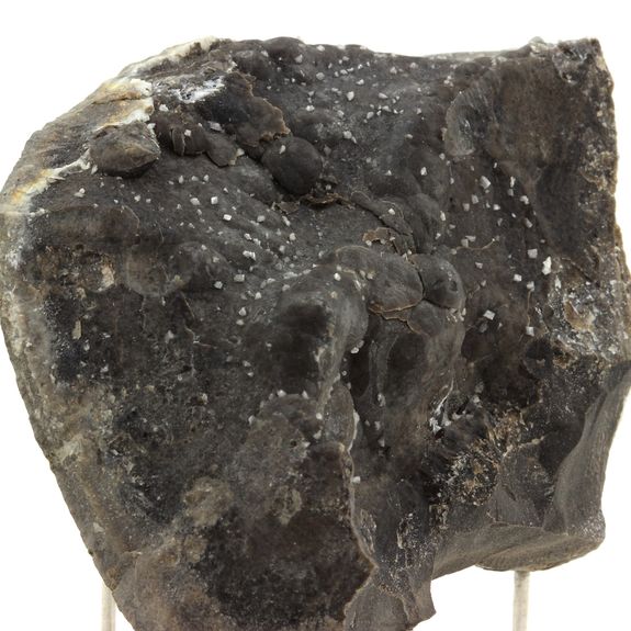 Septaria, Quartz Diamant. 804.5 ct.