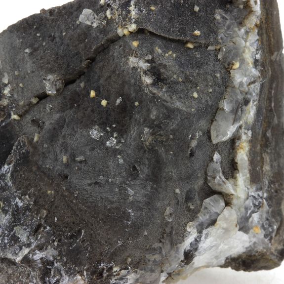 Septaria, Quartz Diamant. 464.2 ct.