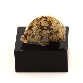 Lussatite (Opal-CT). 13.44 ct.