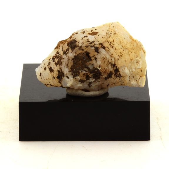 Lussatite (Opale-CT). 39.94 ct.