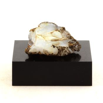 Lussatite (Opale-CT). 65.02 ct.