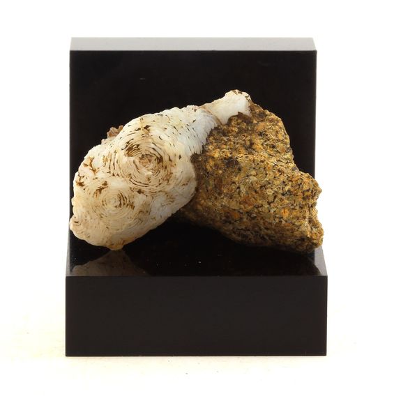 Lussatite (Opale-CT). 130.22 ct.