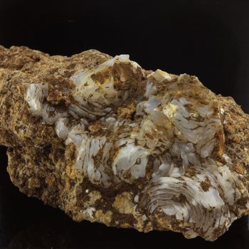 Lussatite (Opale-CT). 127.78 ct.