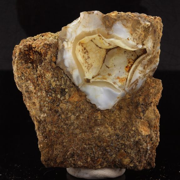 Lussatite (Opale-CT). 268.36 ct.