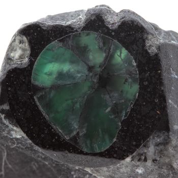 Emeraude Trapiche. 33.7 ct.