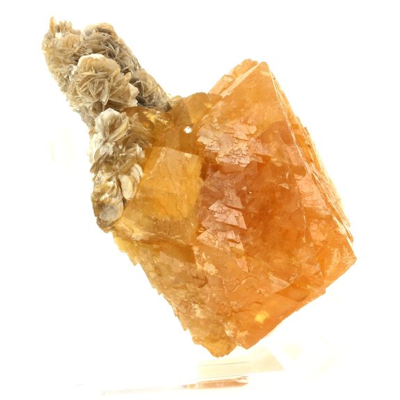 Scheelite. 1485.0 ct.