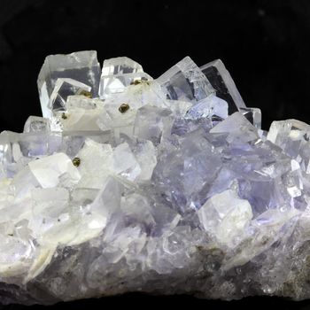 Fluorite. 825.0 ct.