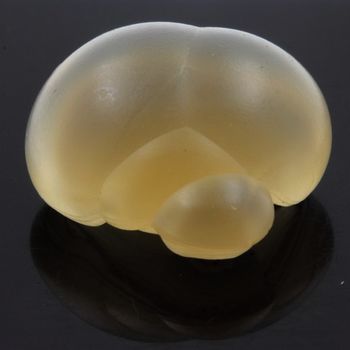 Lussatite (Opale-CT).