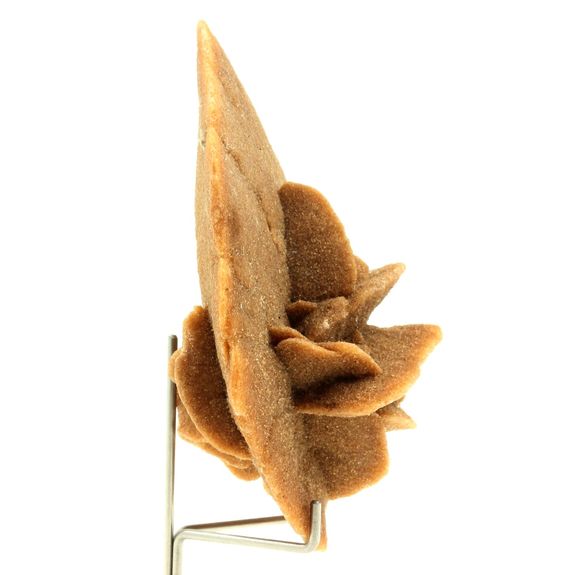 Gypse (Rose des Sables). 509.9 ct.