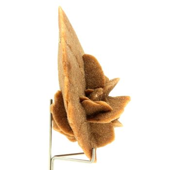 Gypse (Rose des Sables). 509.9 ct.