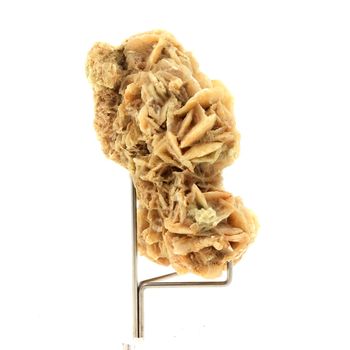 Gypse (Rose des Sables). 437.1 ct.