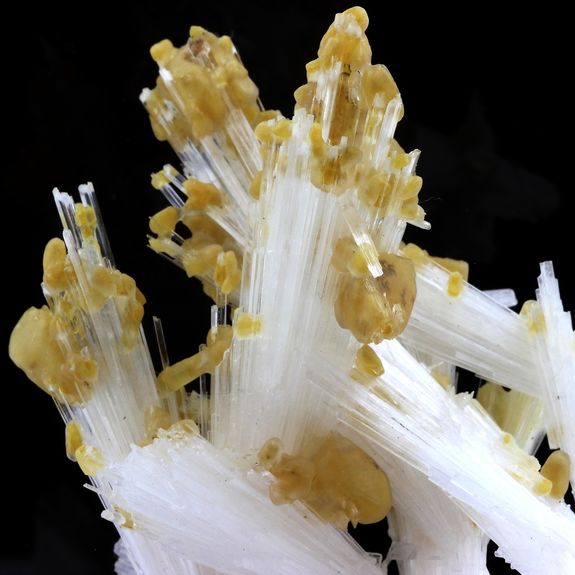 Scolecite + Calcite.