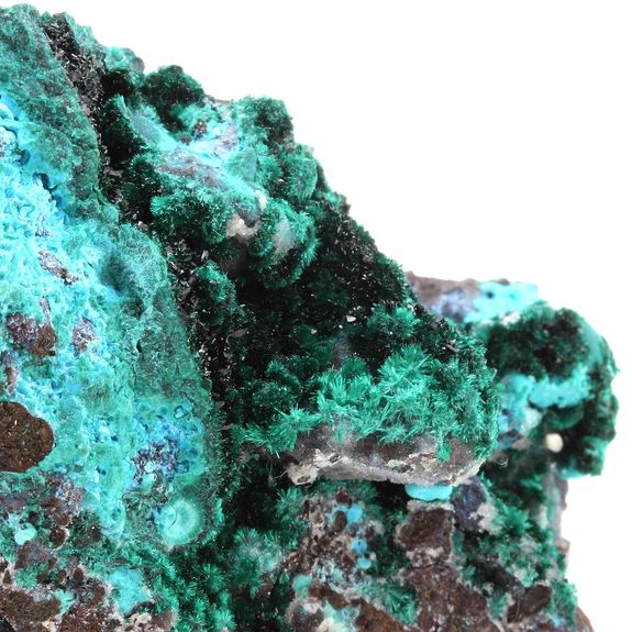 Brochantite + Chrysocolle + Atacamite