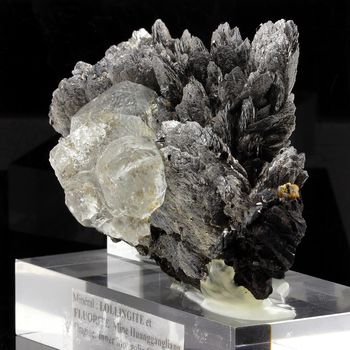 Lollingite + Fluorite. 4000.0 ct.