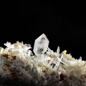 Quartz Sceptre. 258.9 ct.