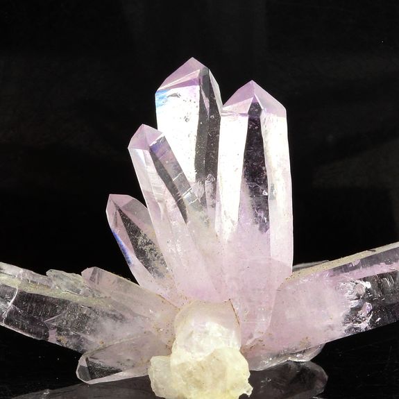 Améthyste. 40.5 ct.