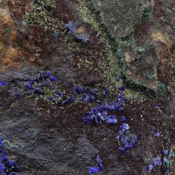 Azurite, Olivenite, Malachite. 1170.0 ct.