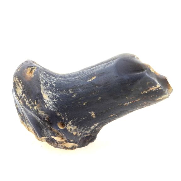 Os de dinosaure + Opale noire. 26.6 ct.