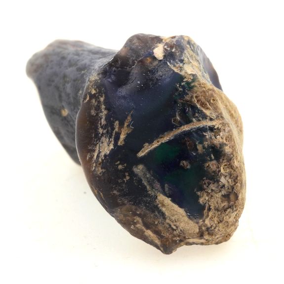 Os de dinosaure + Opale noire. 26.6 ct.