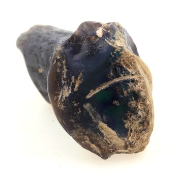 Os de dinosaure + Opale noire. 26.6 ct.