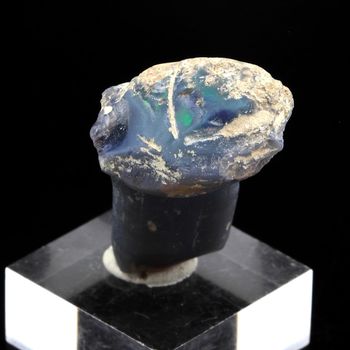 Os de dinosaure + Opale noire. 26.6 ct.