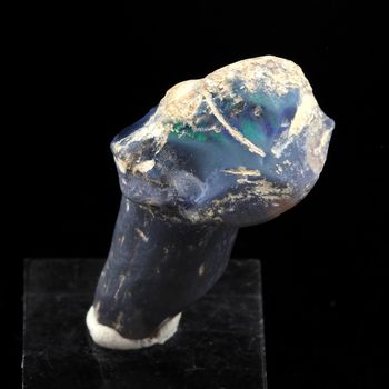 Os de dinosaure + Opale noire. 26.6 ct.