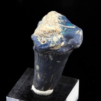 Os de dinosaure + Opale noire. 26.6 ct.