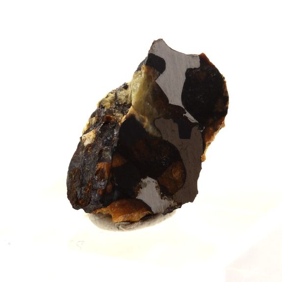 Farringtonite in Pallasite.