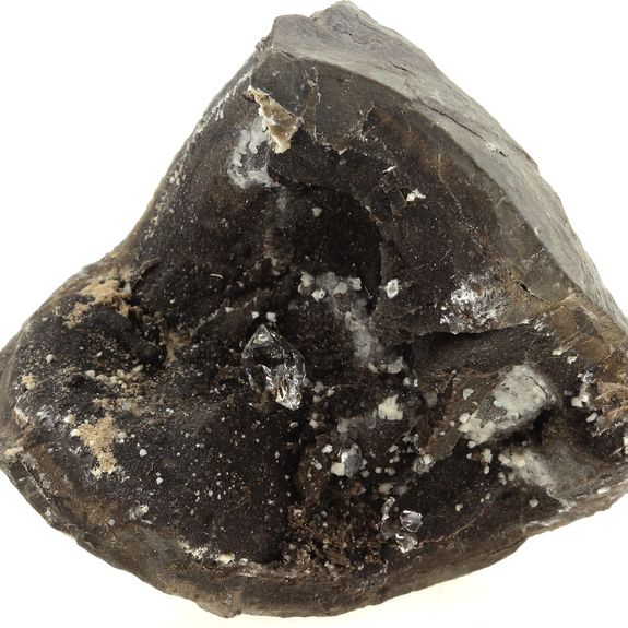 Septaria. 637.0 ct.