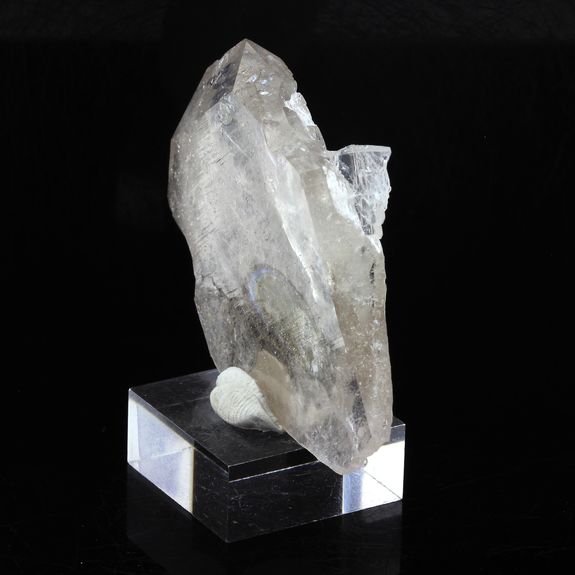 Quartz fumé. 63.8 ct.