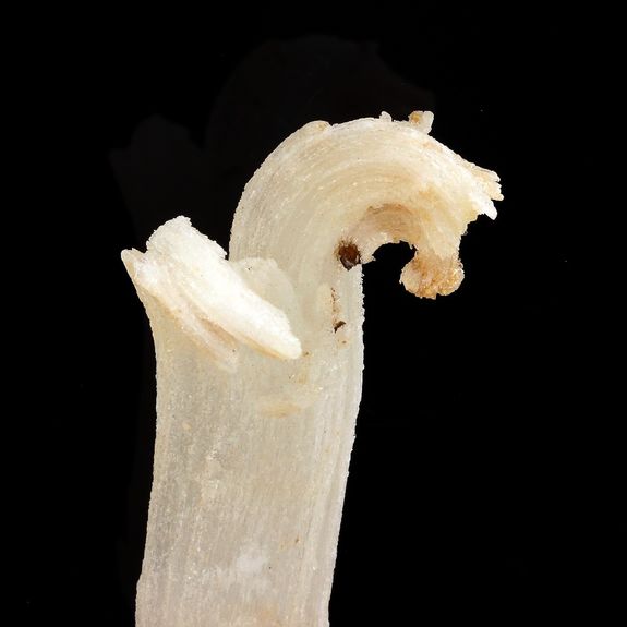 Gypse. 511.5 ct.