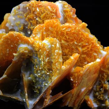 Wulfenite. 345.5 ct.