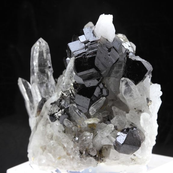 Cassiterite + Quartz + Arsenopyrite.