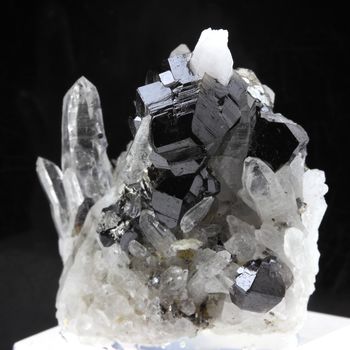 Cassiterite + Quartz + Arsenopyrite.