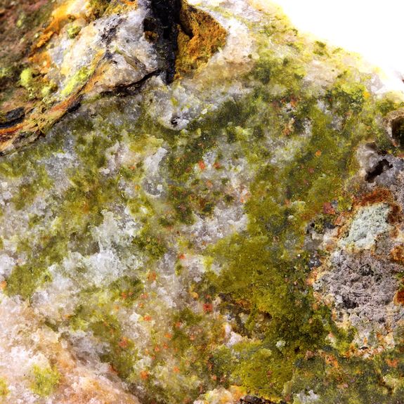 Pyromorphite + Crocoite.