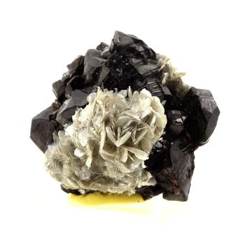 Cassiterite, Muscovite.