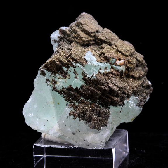 Fluorite + Pyrite.