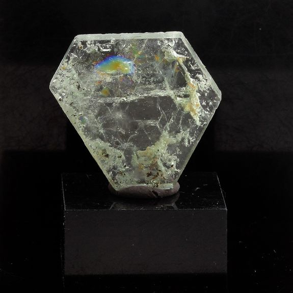 Béryl vert (tranche polie). 11.19 ct.