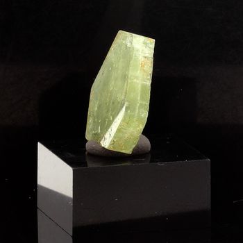 Béryl vert (tranche polie). 10.15 ct.