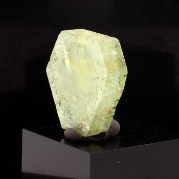 Béryl vert (tranche polie). 10.64 ct.