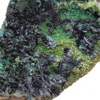 Atacamite. 463.5 ct.