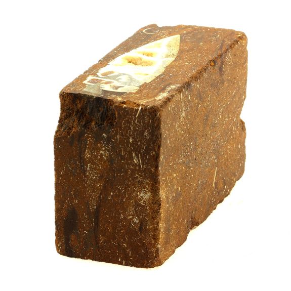 Bélémnite (Belemnoidea) dans minerai. 1625.5 ct.