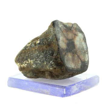 Andalousite (Chiastolite).