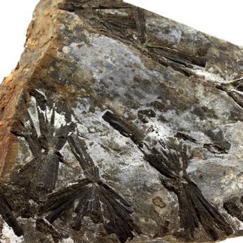 Vesuvianite (Idocrase). 4426.0 ct.