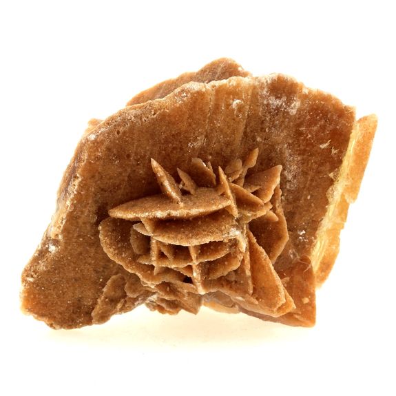 Gypse (Rose des Sables). 780.0 ct.