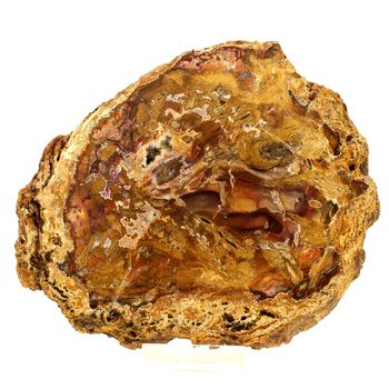 Petrified wood.