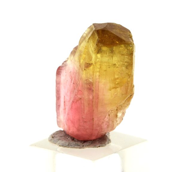 Tourmaline Liddicoatite. 7.54 ct.