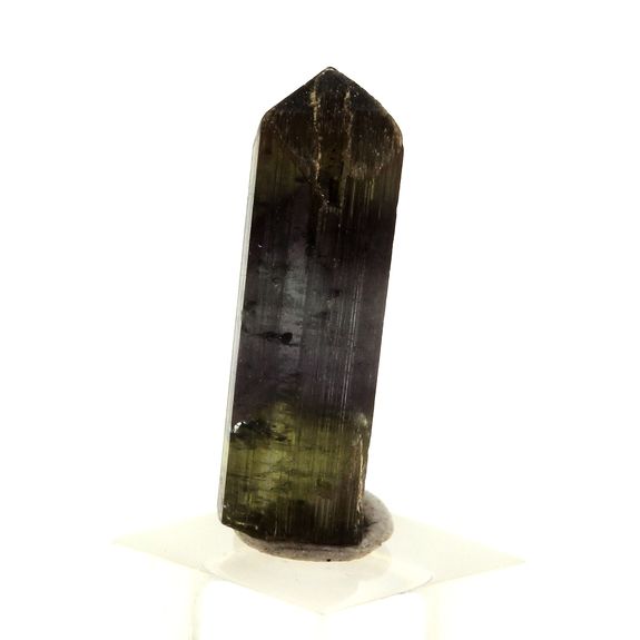Liddicoatite Tourmaline.