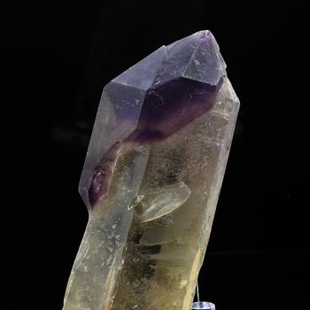 Quartz Améthyste Sceptre. 812.0 ct.
