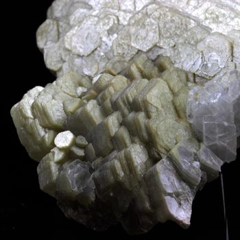 Muscovite.